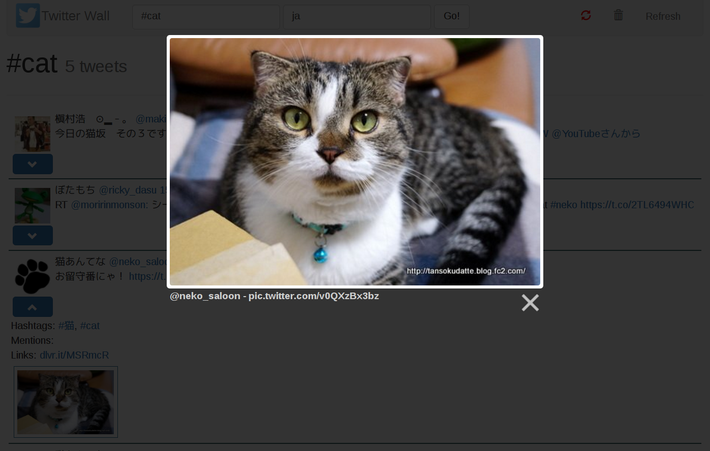 Enlarged photo of cat via Lightbox